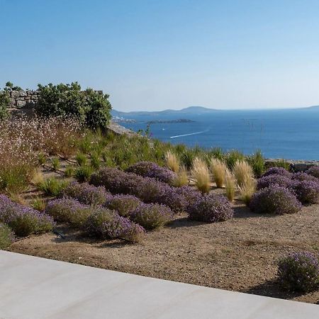 Zelia B&B & Villa Mykonos Town Exteriör bild